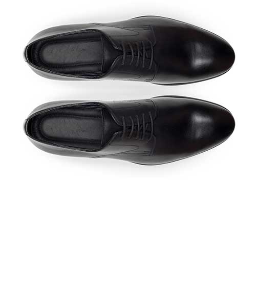 shoe